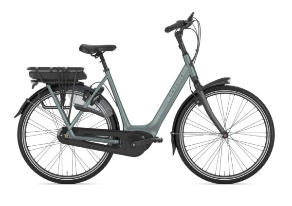 Gazelle | ORANGE C8 HMB L53 Twilight green